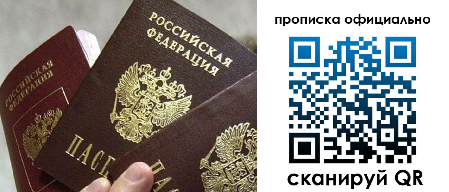 прописка гарантия в Ростове